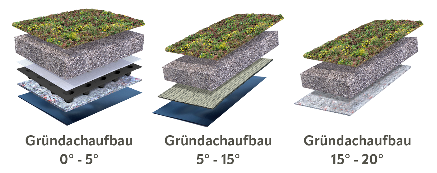 Gründachaufbau Sedumdach Traditionell