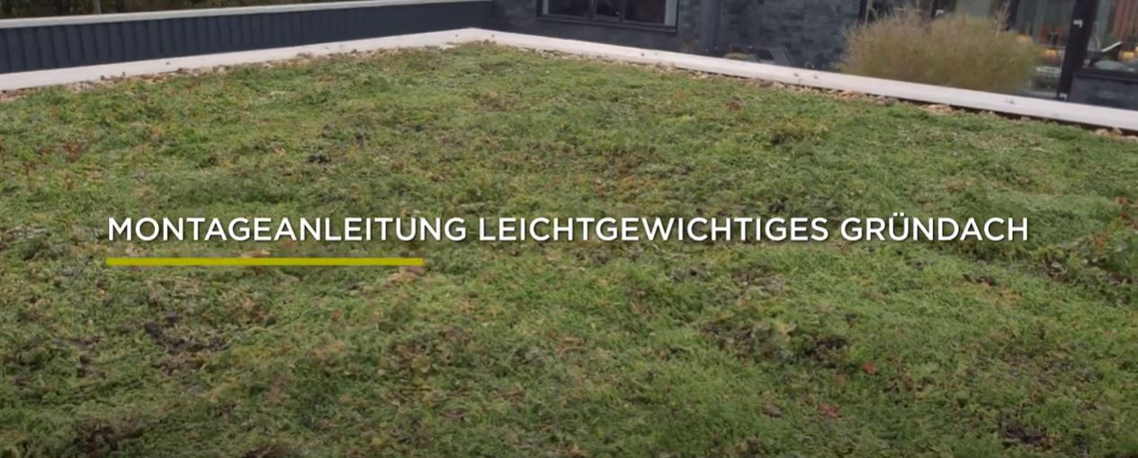 Video: Anleitung Sedumdach Leicht verlegen