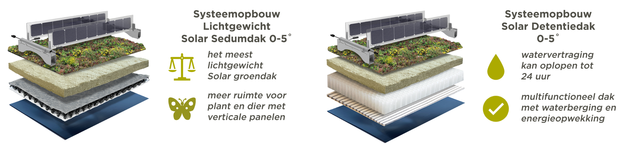 Systeemopbouwen voor Lichtgewicht Solar Sedumdak en Solar Detentiedak