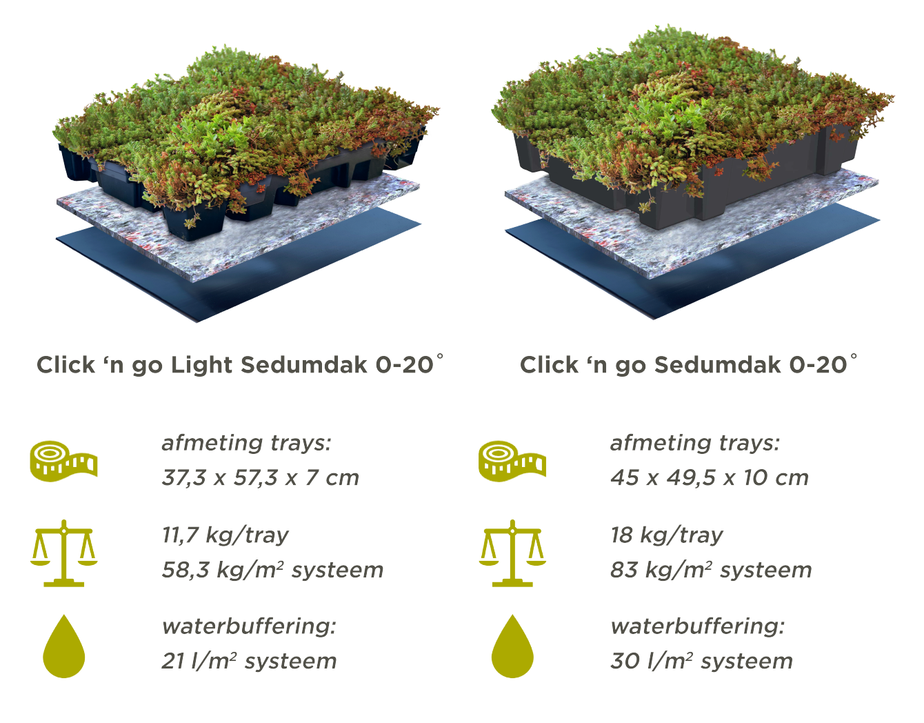 Productinformatie Sedumtrays voor groene daken