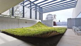 Green ground covering for architects