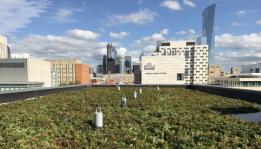 Green Roof