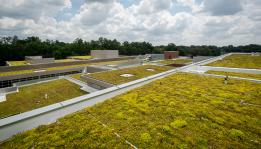 Green roof for contractors