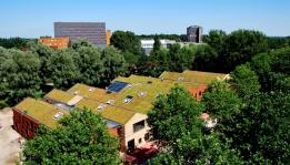 Green roof for contractors