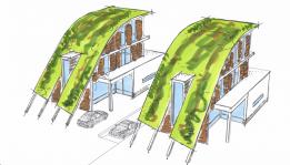 Green roof for architects
