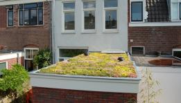 Green roof for consumers