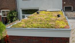Green roof for garden centres