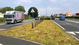 Groene bodembedekking voor aannemers