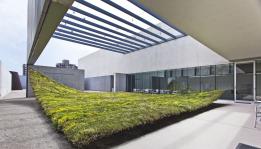 Tapis couvre-sol vert pour les architectes
