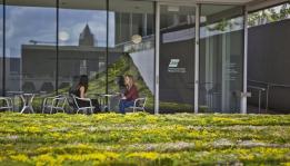 Groene bodembedekking voor handelsbedrijven