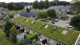 Groene daken voor woningcorporaties