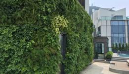 Living wall for contractors