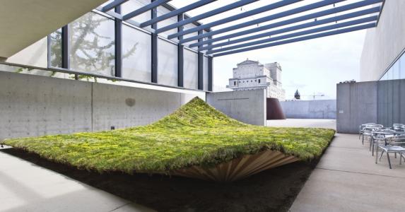 Green ground covering for architects