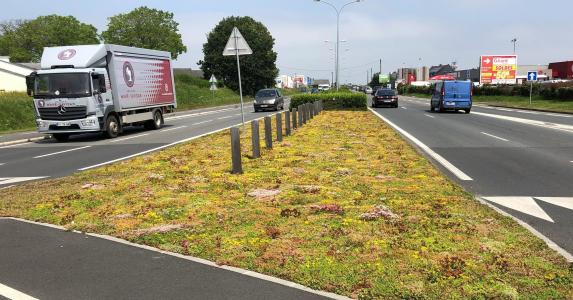 Green ground covering for contractors