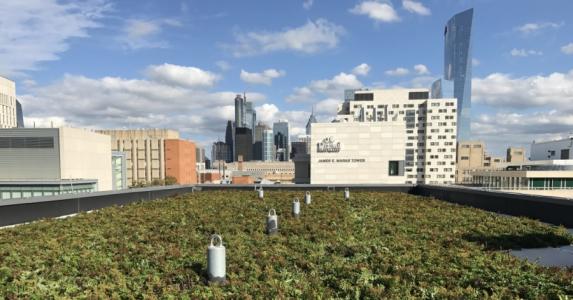 Green Roof