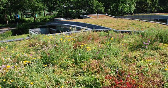 Green Roof