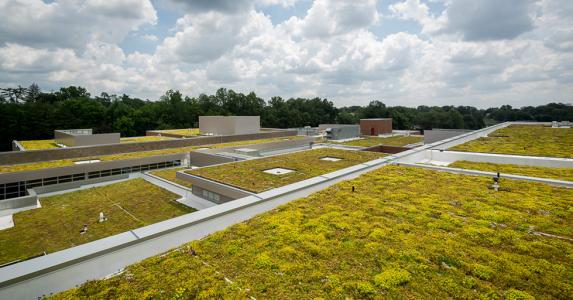 Green roof for contractors