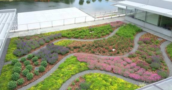 Green roof for landscape architects