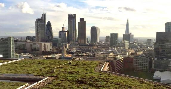 Green Roof