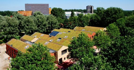 Green roof for contractors