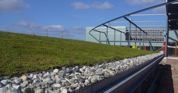 Green roof for roofers