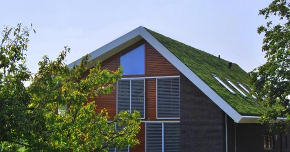 Green roof for gardeners