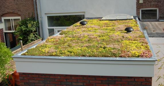 Green roof for garden centres