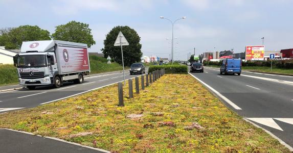 Groene bodembedekking voor aannemers