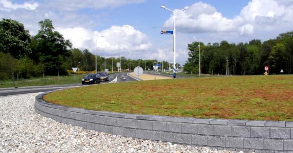 Green ground covering for government organizations