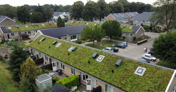 Groene daken voor woningcorporaties