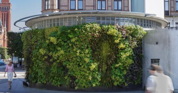 Jardín vertical para la administración pública