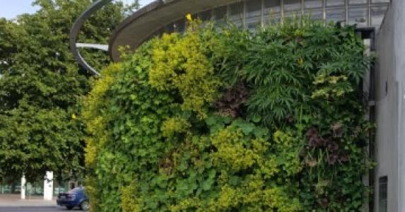 Living wall for government organizations