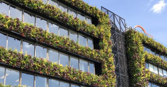 Living Wall