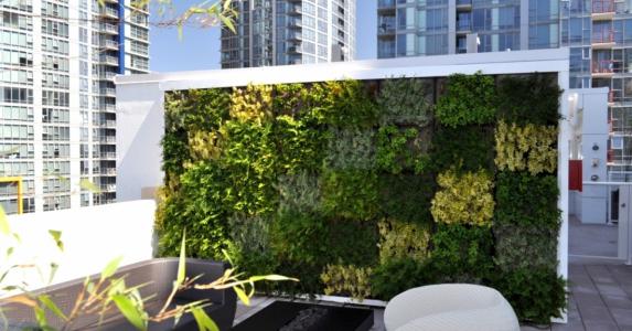 Living Wall