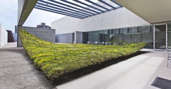 Tapete verde para arquitectos