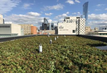 Green Roof