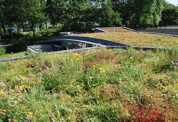 Green Roof