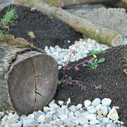 Pack de biodiversité