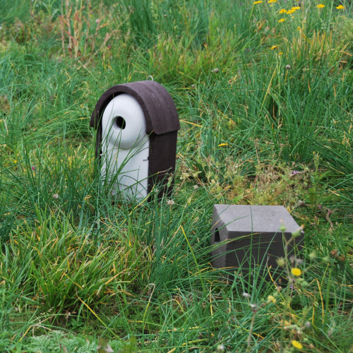 Het groene Vogeldak