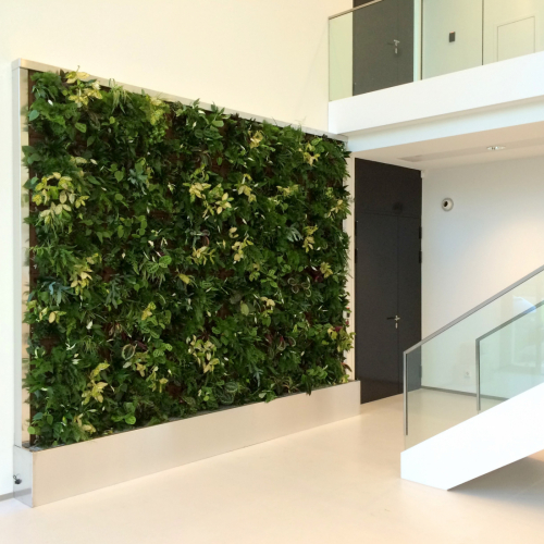 SemperGreenwall CompactLine