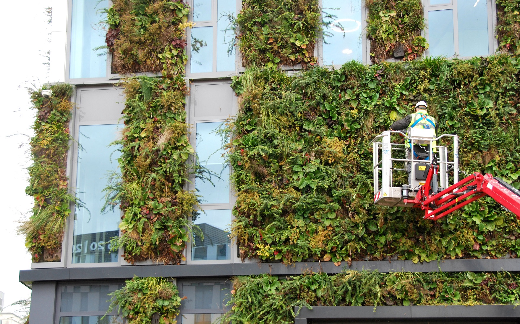 Maintenance Living Wall Outdoors