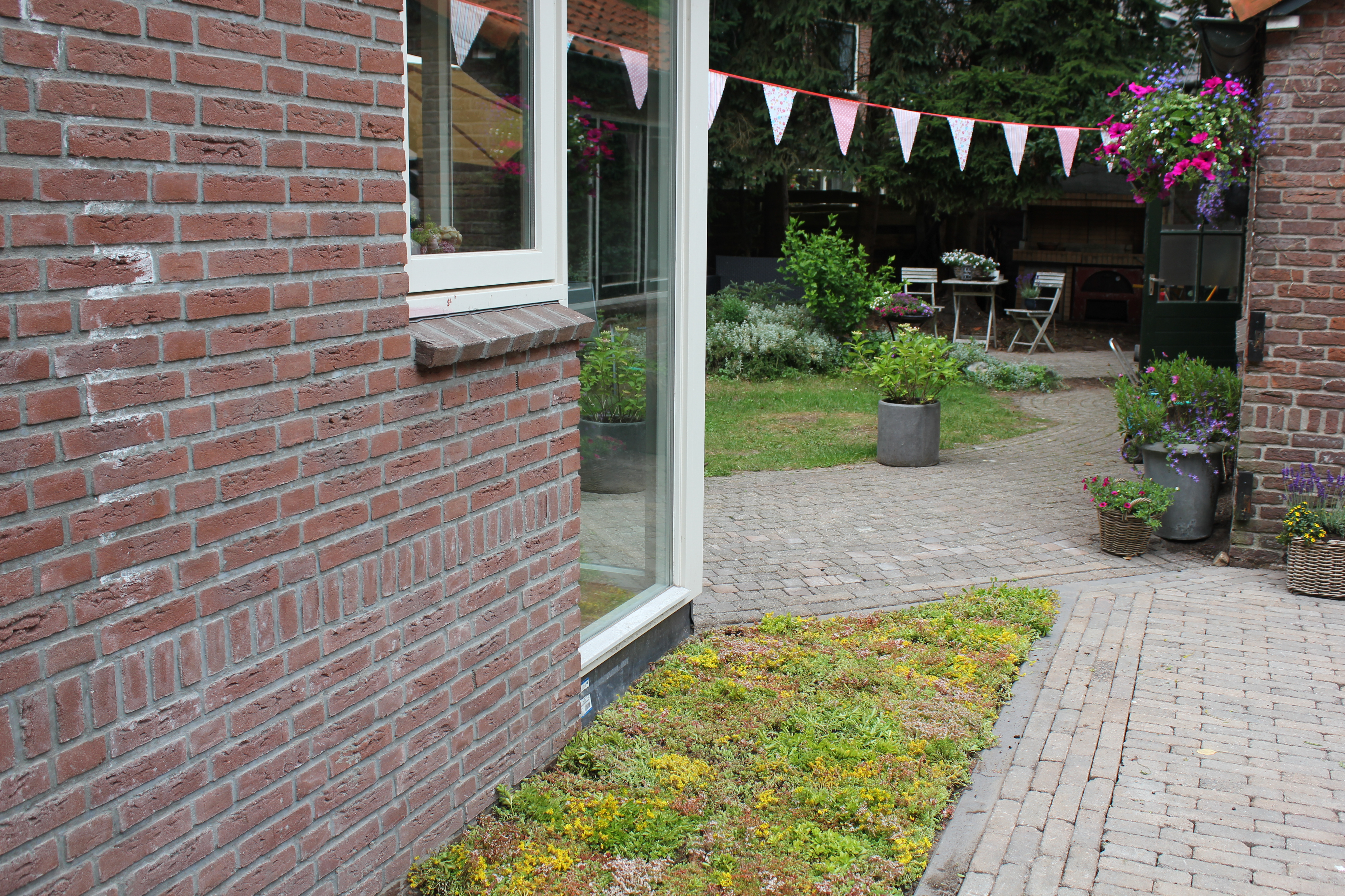 Tappeto in zolla Sedummix di Sempergreen – la copertura verde pronta all'uso per centri per il giardinaggio