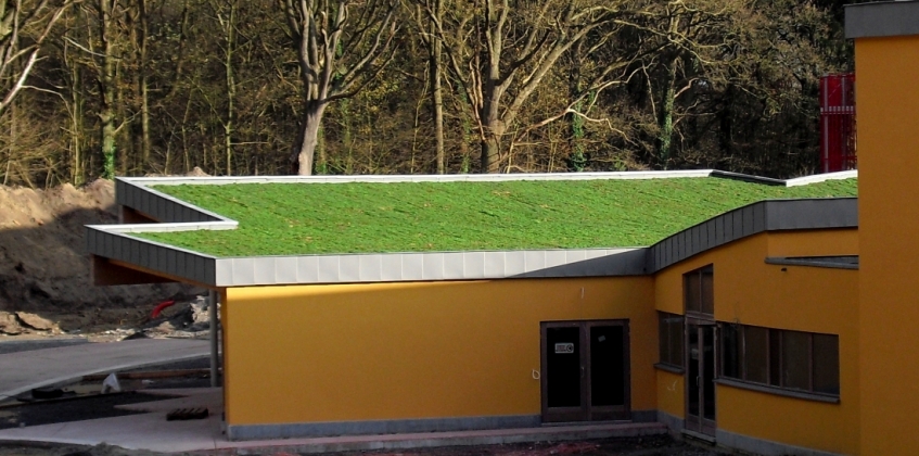 Sloping Sedum Roof 2