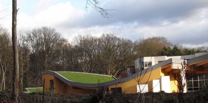 Sloping Sedum Roof 4