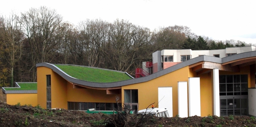 Sloping Sedum Roof 3