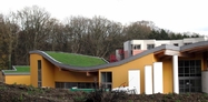 Sloping Sedum Roof 3