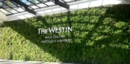 The Westin Hotel 2