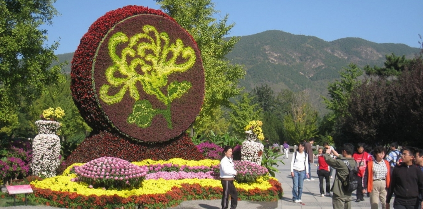 Botanischer Garten 4