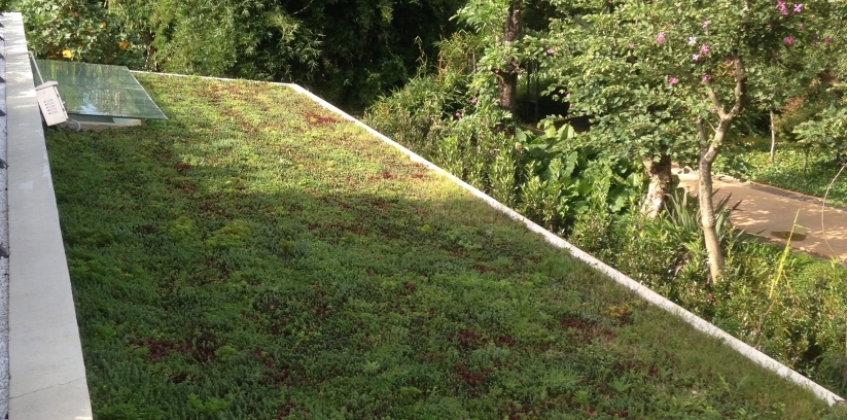 Mu Garden 1