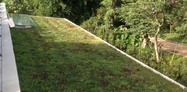 Mu Garden 1